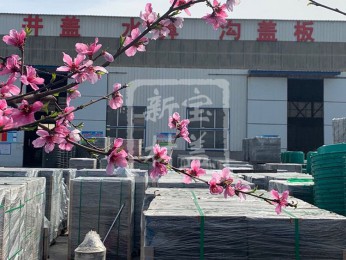 花滿(mǎn)枝頭，春意盎然